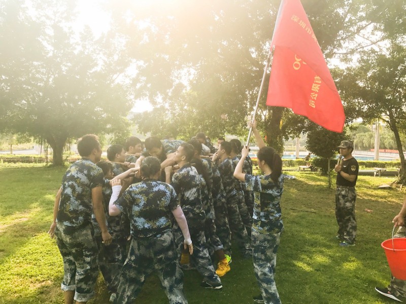 單片機開發英銳恩夏日拓展活動3