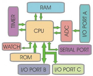 Microcontroller-Basics-300x246.jpg